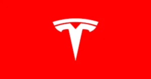 Read more about the article TESLA Stock: A Painful Year for the Investors