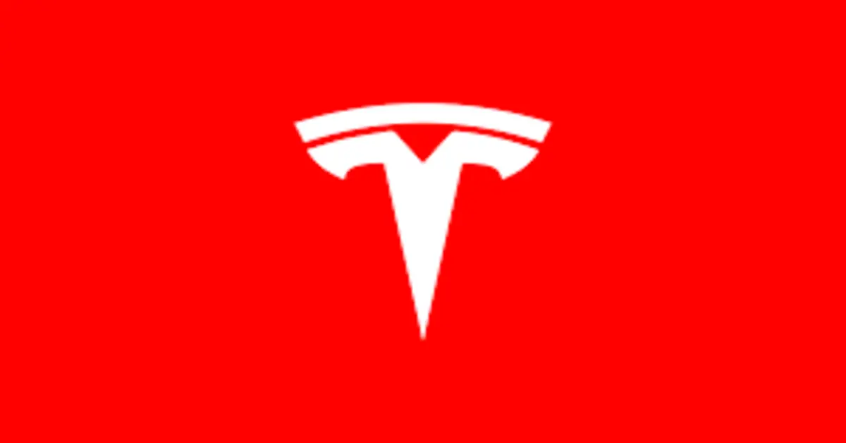 You are currently viewing TESLA Stock: A Painful Year for the Investors