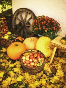 Read more about the article Thanksgiving 2023: Date, time and Significance