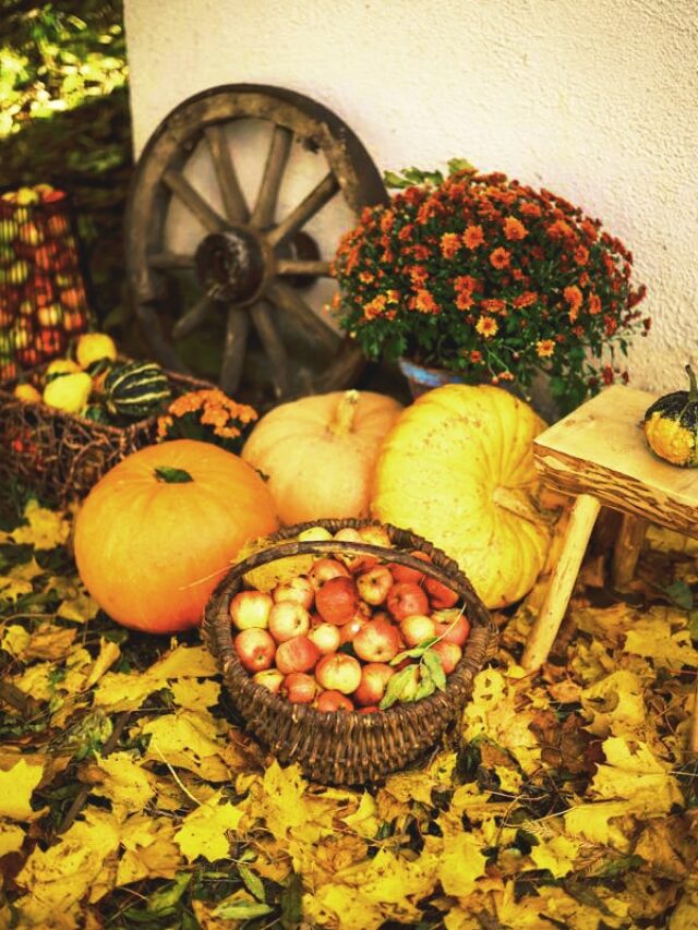 Thanksgiving 2023: Date, time and Significance